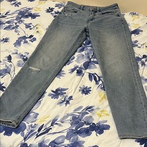 American Eagle Outfitters Light Wash Straight Leg Jeans
